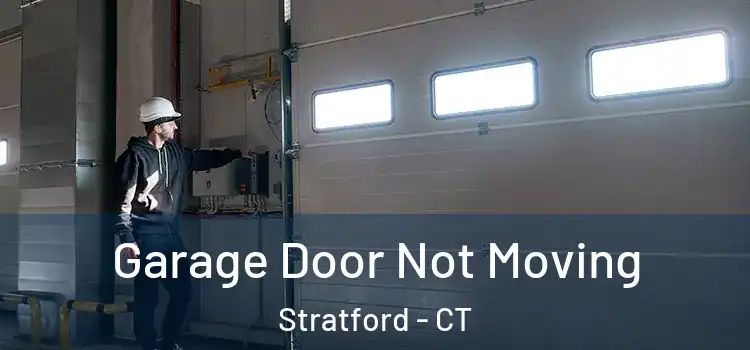  Garage Door Not Moving Stratford - CT